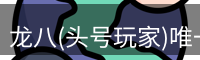 龙八(头号玩家)唯一官方网站